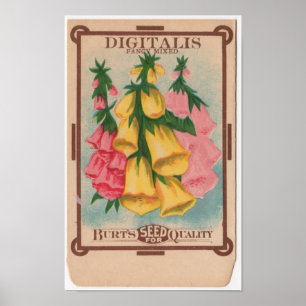 Vintage kärnar ur paket poster