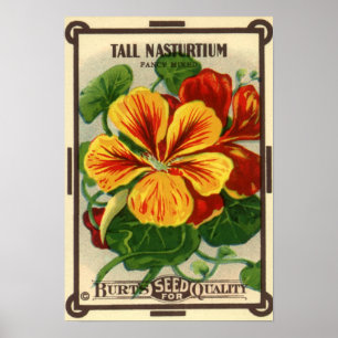 Vintage kärnar ur paketetikettkonst, poster