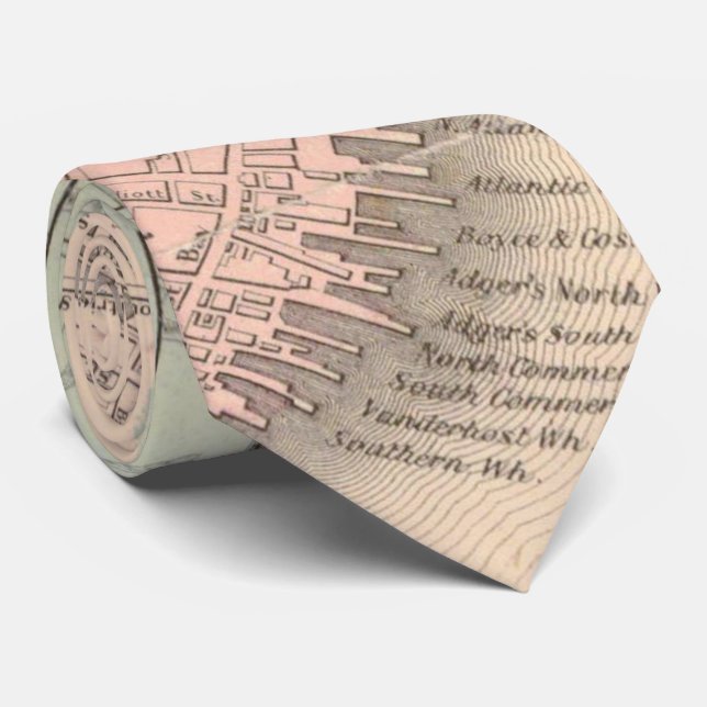 Vintage Karta av Charleston South Carolina (1855) Slips (Rullad)