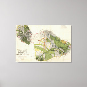 Vintage Karta av Maui Island (1906) Canvastryck