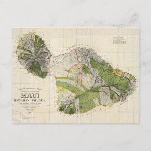 Vintage Karta av Maui Island (1906) Vykort