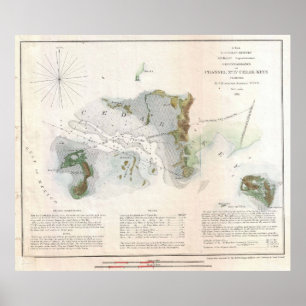 Vintage Karta i Cedar Nyckel Florida (1852) Poster