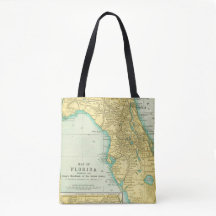 Vintage Karta i delstaten Florida