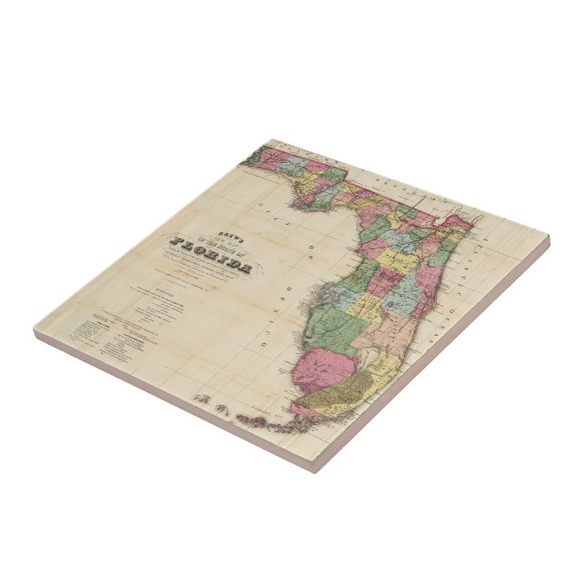 Vintage Karta i Florida (1870) Kakelplatta (Sidan)