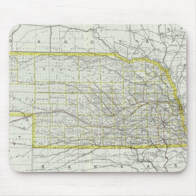Vintage Karta i Nebraska (1889) Musmatta (Framsidan)