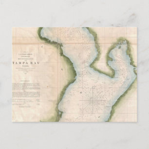 Vintage Karta i Tampa-kusten (1855) Vykort