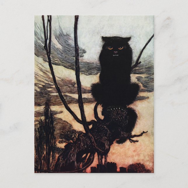 Vintage Kat vykort (Framsida)