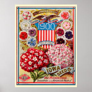 Vintage katalog över blomsterfrön för trädgårdsskö poster