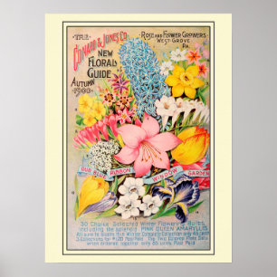 Vintage katalog över blomsterfrön för trädgårdsskö poster