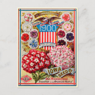 Vintage katalog över trädgårdsblomfrön vykort