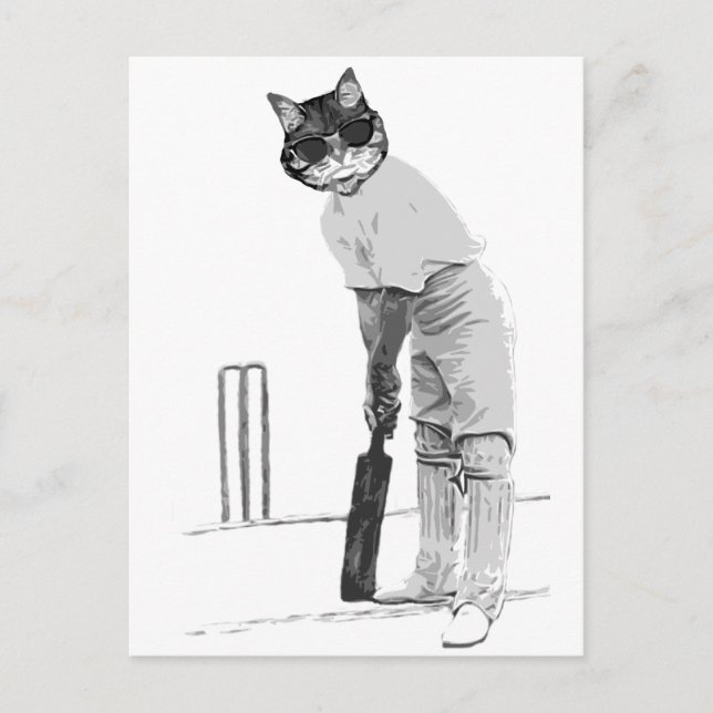 vintage katt cricketspelare vykort (Framsida)