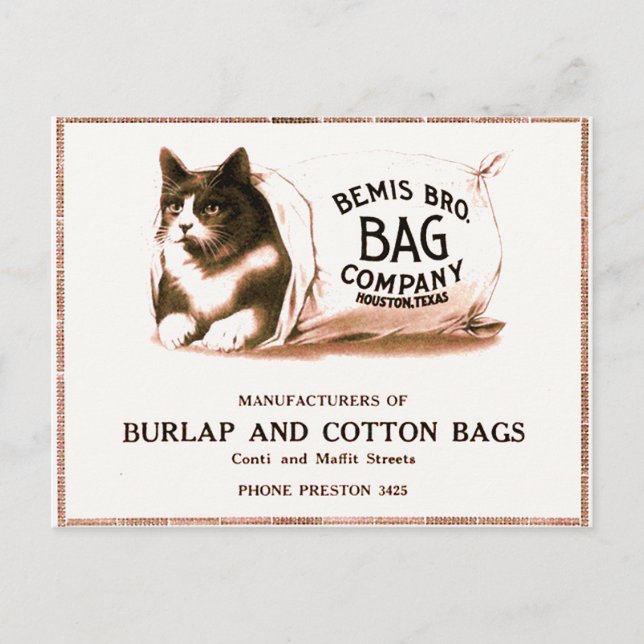 Vintage Katt i vykort (Framsida)