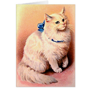 Vintage Katt med blått ben Hälsningskort