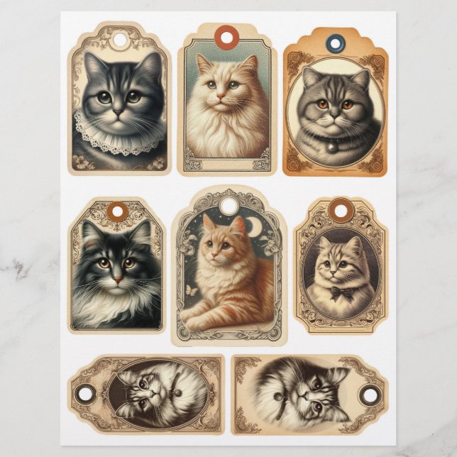 Vintage Katt- och kattungar Märkre (Framsida)