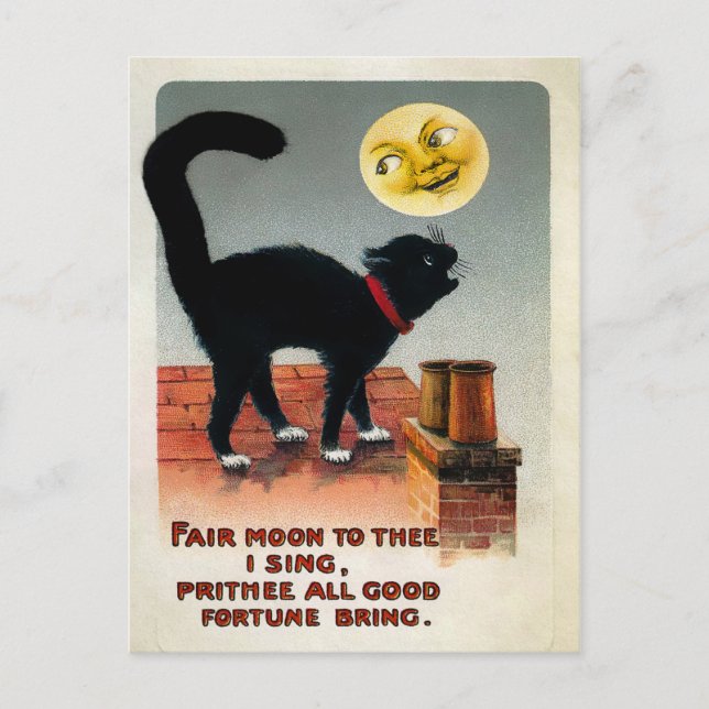 Vintage Katt och Måne Vykort (Framsida)