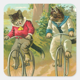Vintage Katt på cykel Fyrkantigt Klistermärke