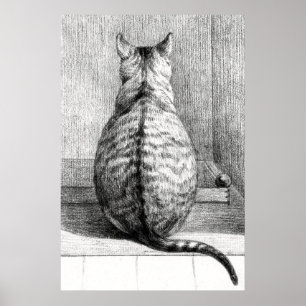 Vintage katt skiss konst ritning poster