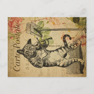 Vintage Katt-tema Carte Postale Katt & Fiol Vykort