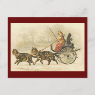 Vintage Kattbuss vykort