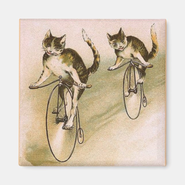 Vintage Katter på Cyklar Magnet (Framsidan)
