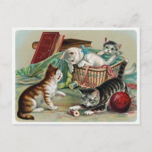 Vintage Katter Postkort Vykort