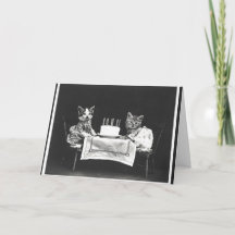 Vintage Katter vid en Födelsedagsfest