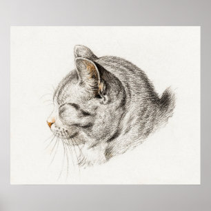 Vintage - kattillustration poster