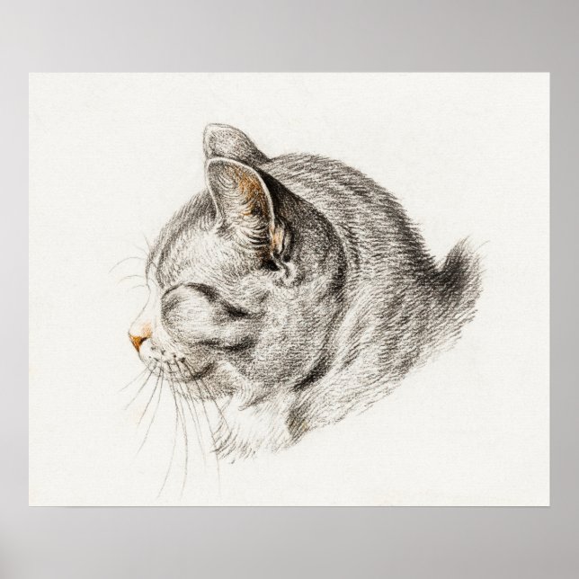 Vintage - kattillustration poster (Framsidan)