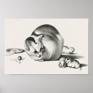 Vintage - kattillustration poster