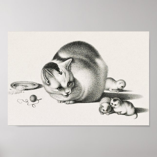 Vintage - kattillustration poster (Framsidan)