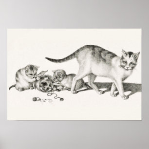 Vintage - kattillustration poster