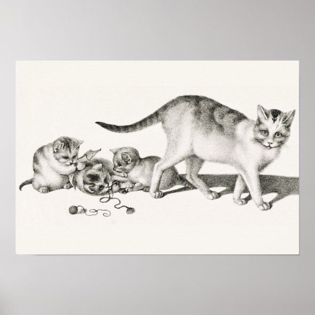 Vintage - kattillustration poster (Framsidan)