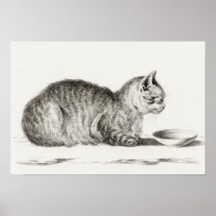 Vintage - kattillustration poster