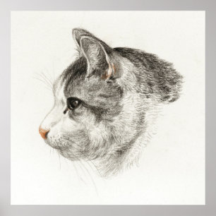 Vintage - kattillustration poster