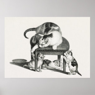 Vintage - kattillustration poster