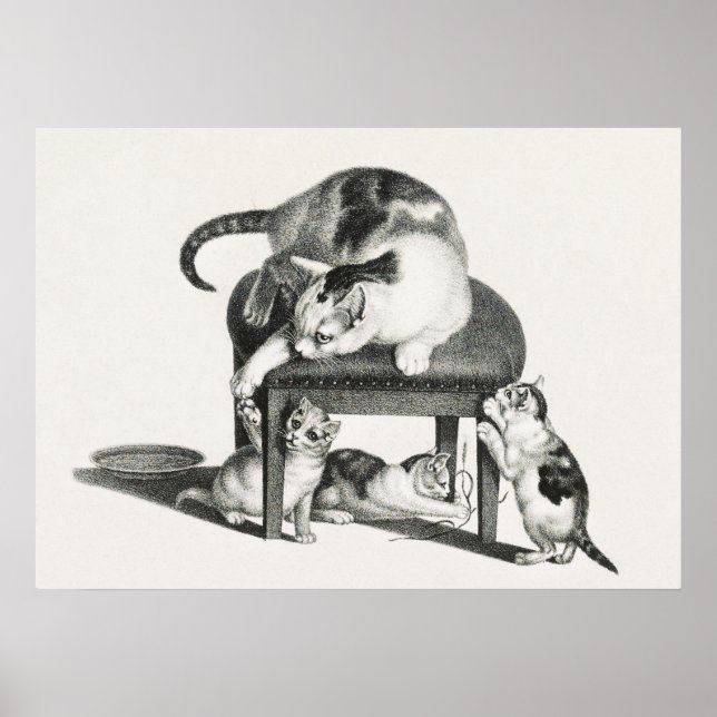 Vintage - kattillustration poster (Framsidan)