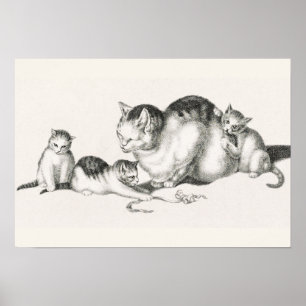 Vintage - kattillustration poster