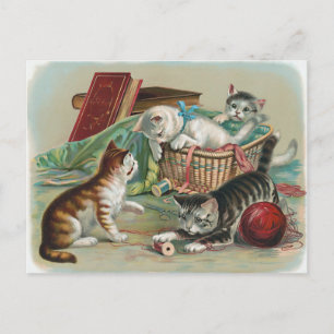 Vintage Kattr Postkort Vykort