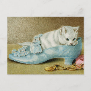 Vintage Kattr Postkort Vykort