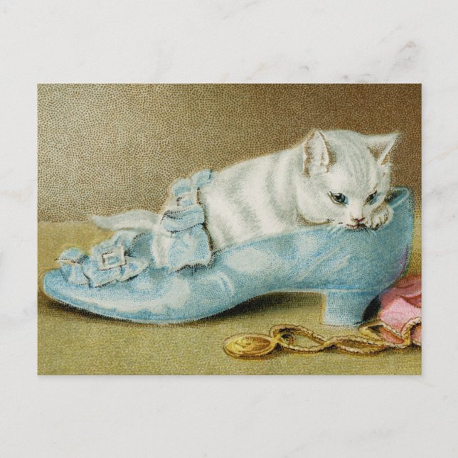 Vintage Kattr Postkort Vykort (Framsida)