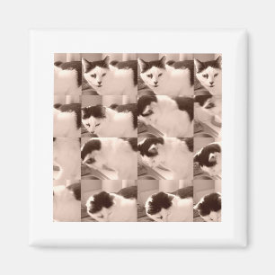 Vintage Kattunge/svartvitt foto Magnet