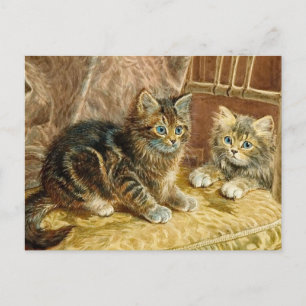 Vintage Kattunge - Viktoriskt kassettvykort Vykort