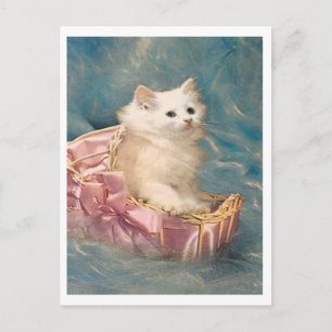 Vintage Kattunge Vykort