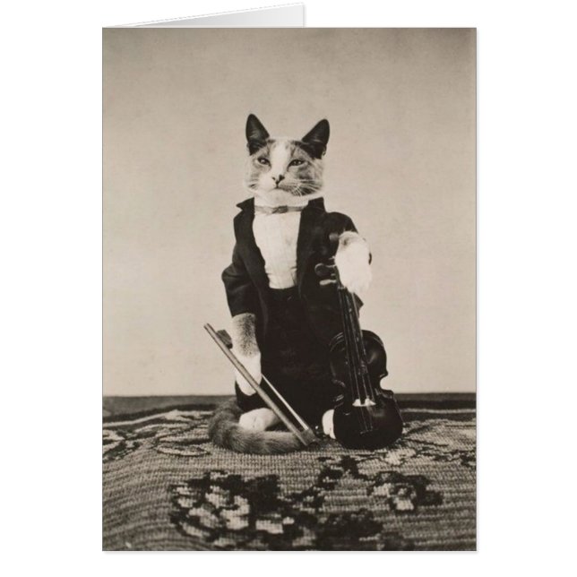 Vintage - kattviolinist, hälsningskort (Framsidan)