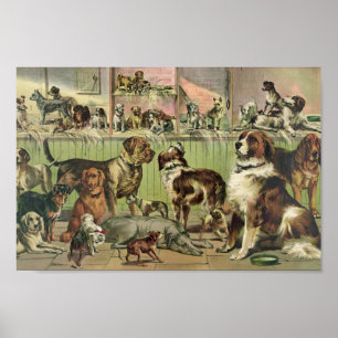 Vintage Kennel Klubb Illustration Poster