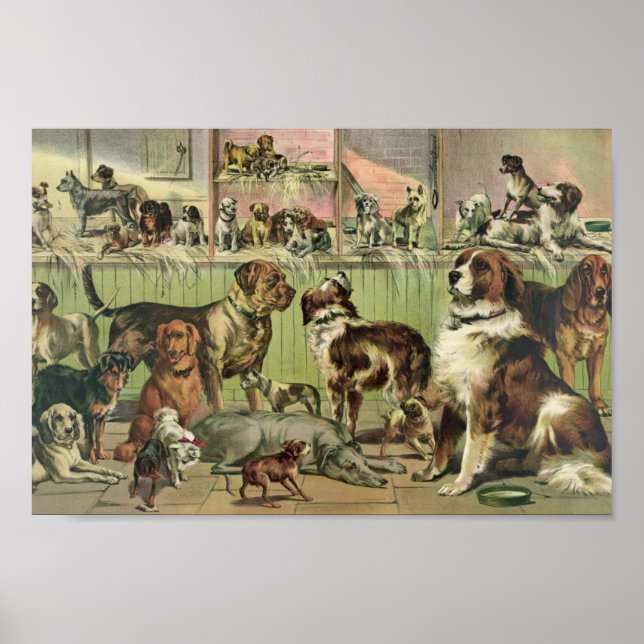 Vintage Kennel Klubb Illustration Poster (Framsidan)