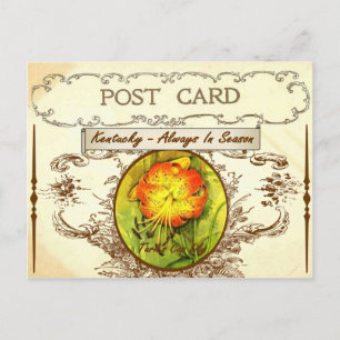 Vintage Kentucky State Flower vycard Vykort