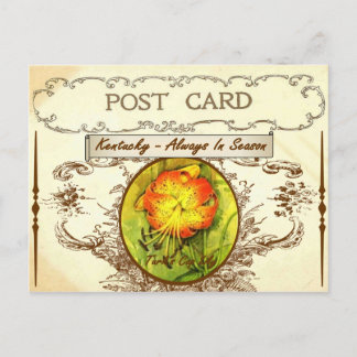 Vintage Kentucky State Flower vycard Vykort