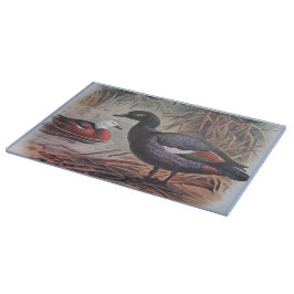 Vintage Keulemans John Gerrard Paradise Shelduck