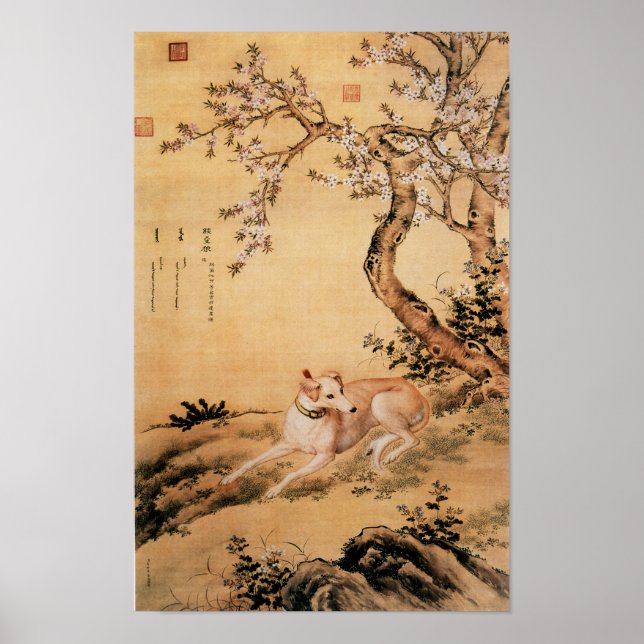 Vintage kinesisk Greyhound under persikoblossom Poster (Framsidan)